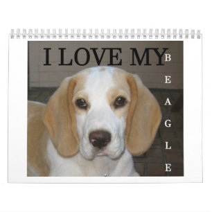 Beagle Calender Calendar