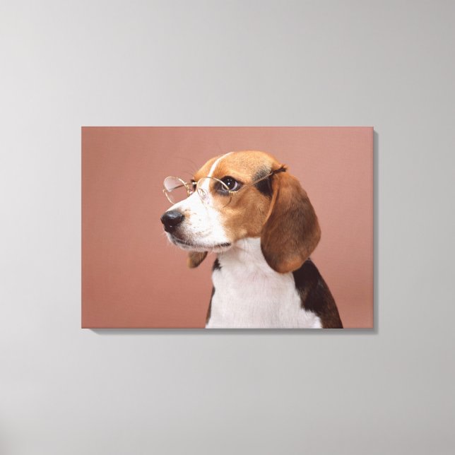 Beagle Canvas Print (Front)