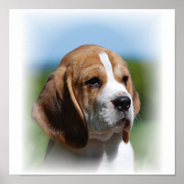 Beagle Canvas Print (Front)
