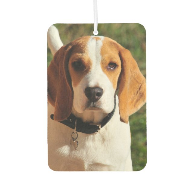 Beagle Car Air Freshener (Front)