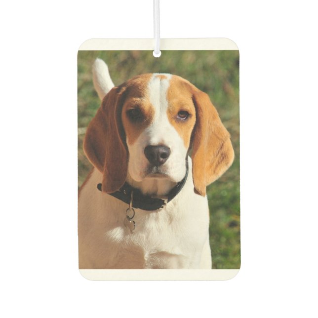Beagle Car Air Freshener (Front)