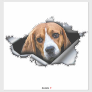 Beagle car decal, Beagle magnet, Beagle sticker