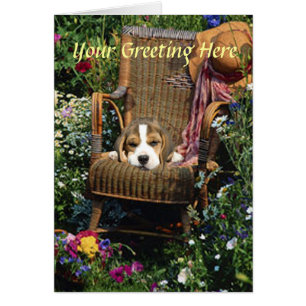 Beagle Card In Garden Chair