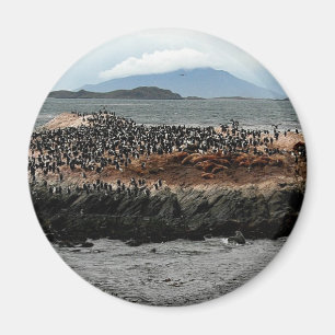 Beagle Channel Magnet