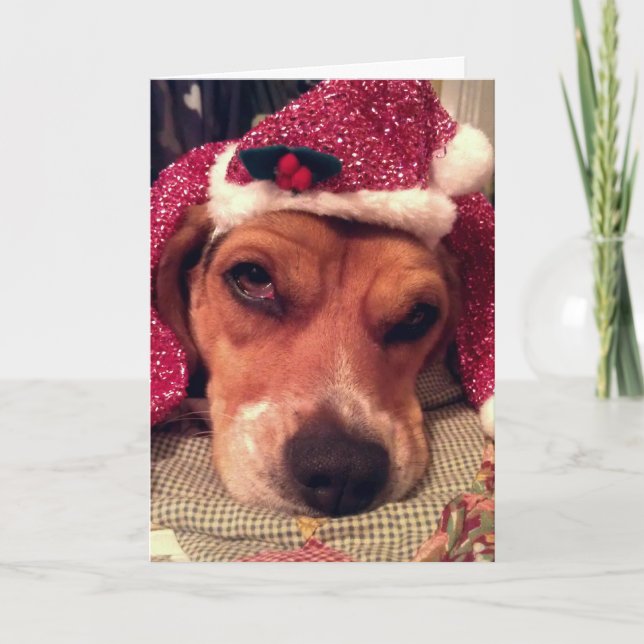 Beagle Christmas Card (Front)