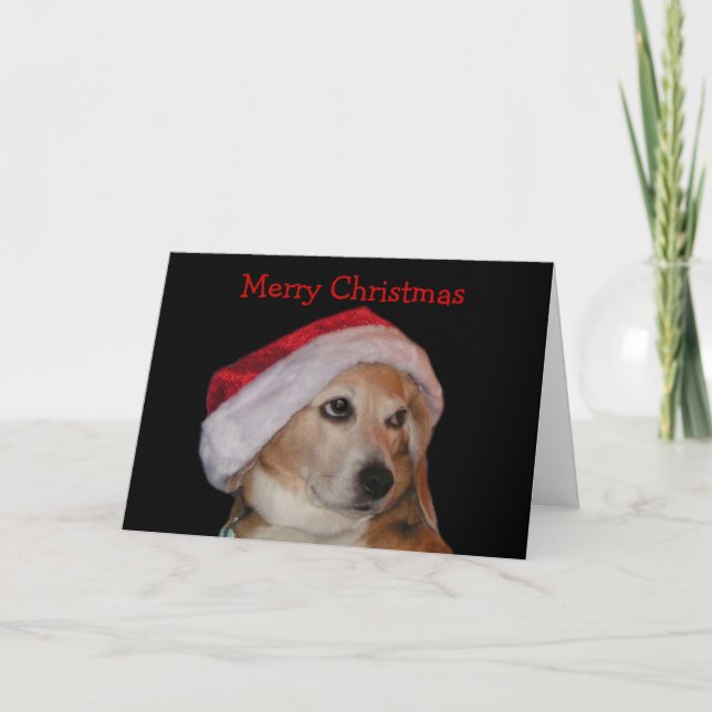 Beagle Christmas Card (Santa) (Front)