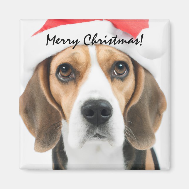 Beagle Christmas Magnet (Front)