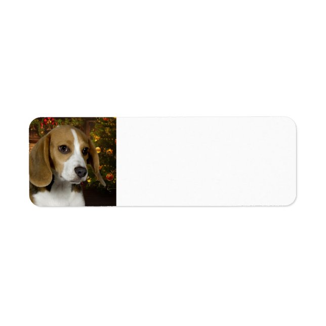 Beagle Christmas Return Address Label (Front)