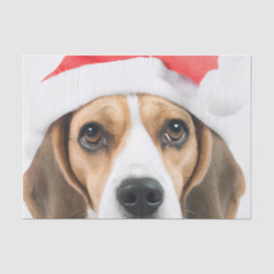 Beagle Christmas Tissue Paper