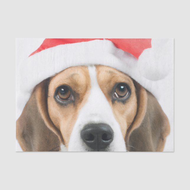 Beagle Christmas Tissue Paper (Front)