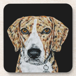 BEAGLE COASTER