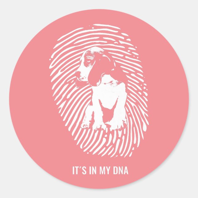 Beagle Dog Breed Premium/ Beagle Dog Lovers   Classic Round Sticker (Front)