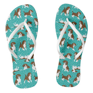 Beagle dog breed - turquoise flip flops