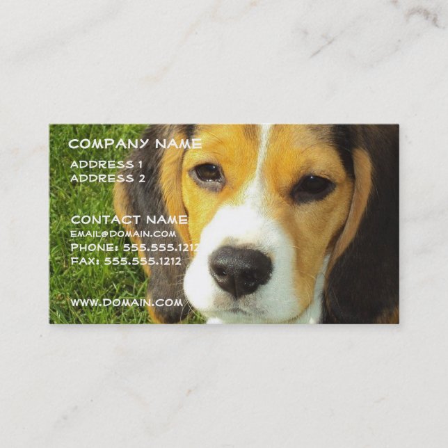 Beagle Dog Business Card (Front)