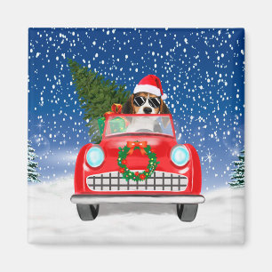 Beagle Dog Driving Car In Snow Christmas  Magnet