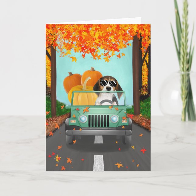 Beagle Dog Fall Pumpkin  Card (Front)
