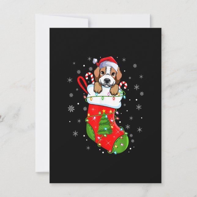 Beagle Dog In Christmas Socks Funny Santa Beagle X Invitation (Front)