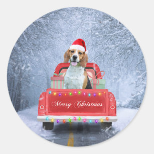 Beagle Dog in Snow sitting in Christmas Truck Classic Round Sticker