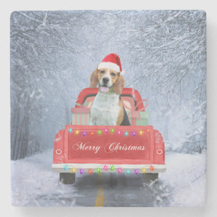 Beagle Dog in Snow sitting in Christmas Truck  Stone Coaster