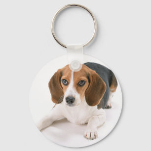 Beagle Dog Keychain
