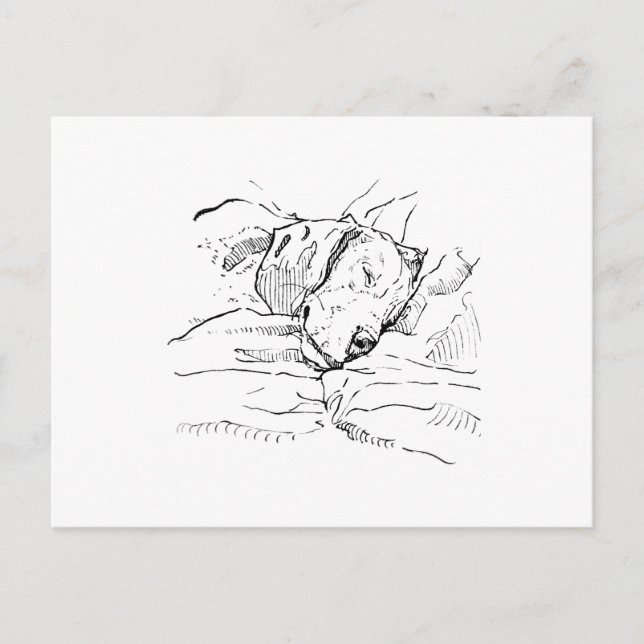Beagle Dog Lover Illustration  Postcard (Front)