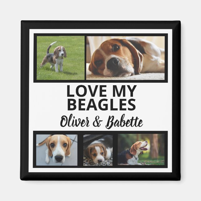 Beagle Dog Owner and Proud Puppy Dog Photo Collage Magnet (Front)
