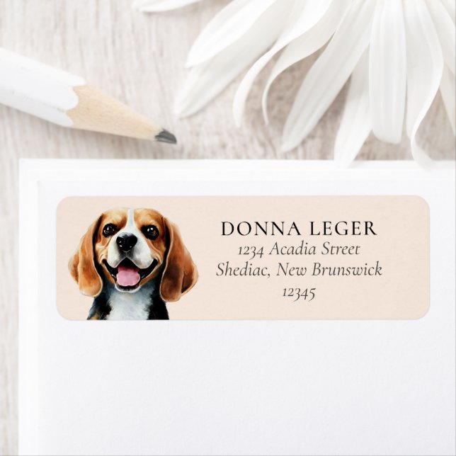 Beagle Dog Personalised Address (Insitu)