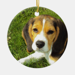 Beagle Dog Pet Animals Peace Love Ceramic Tree Decoration