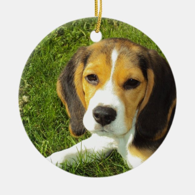 Beagle Dog Pet Animals Peace Love Ceramic Tree Decoration (Front)
