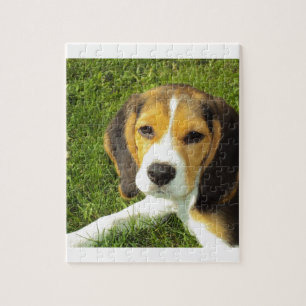 Beagle Dog Pet Animals Peace Love Jigsaw Puzzle