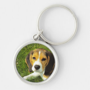 Beagle Dog Pet Animals Peace Love Key Ring