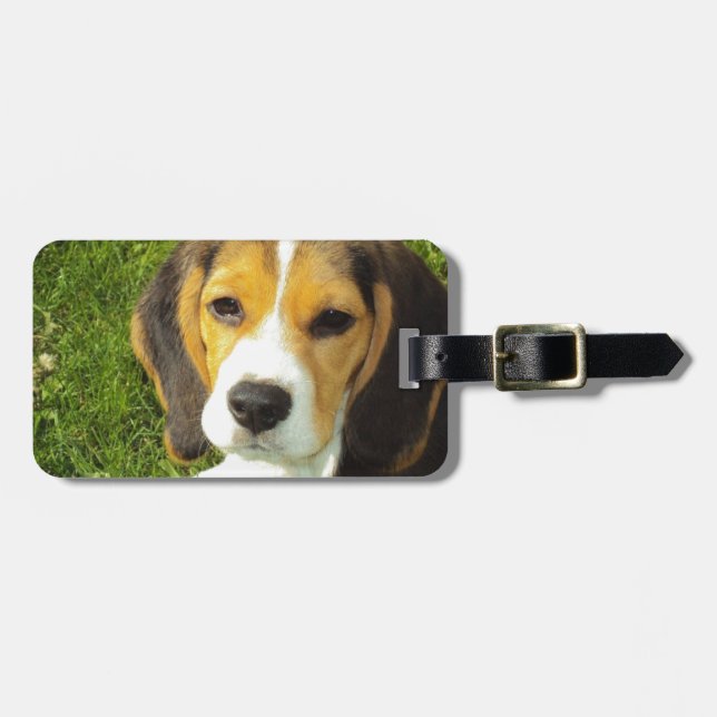 Beagle Dog Pet Animals Peace Love Luggage Tag (Front Horizontal)