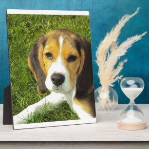 Beagle Dog Pet Animals Peace Love Plaque