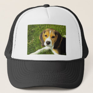 Beagle Dog Pet Animals Peace Love Trucker Hat