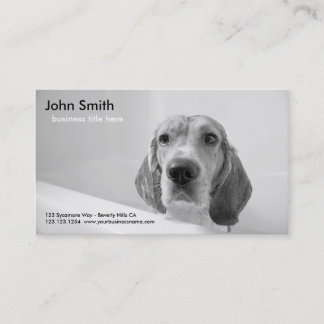 Beagle Dog Pet Grooming business card