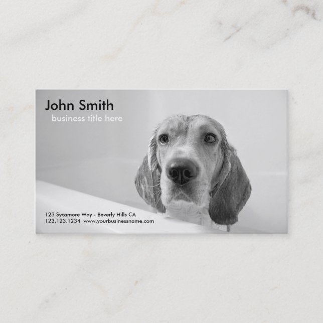 Beagle Dog Pet Grooming business card (Front)