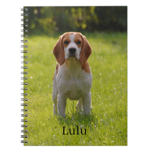 Beagle Dog Photo and Name Personalised Notebook