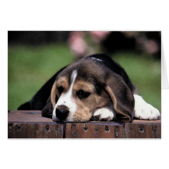 Beagle Dog Portrait Blank Greeting Card