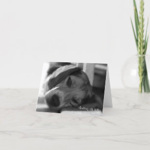 Beagle Dog Snoopy close-up photo Card