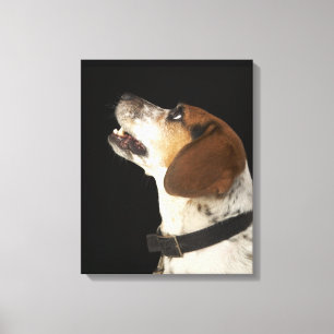 Beagle dog with black collar profile canvas print