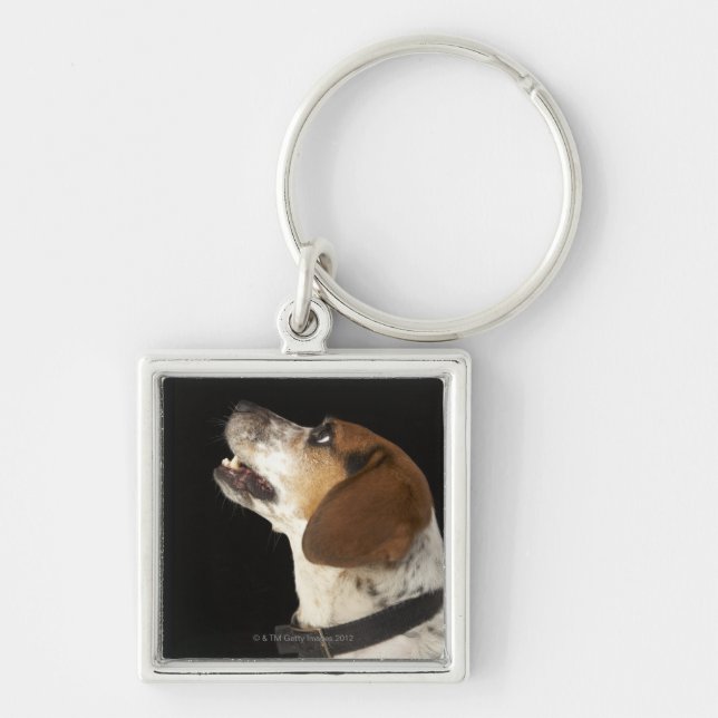 Beagle dog with black collar profile key ring (Front)