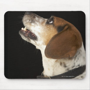 Beagle dog with black collar profile mouse mat