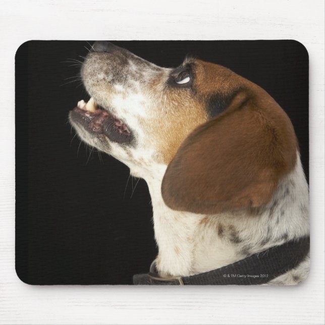 Beagle dog with black collar profile mouse mat (Front)
