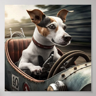 Beagle driving Racing car Poster