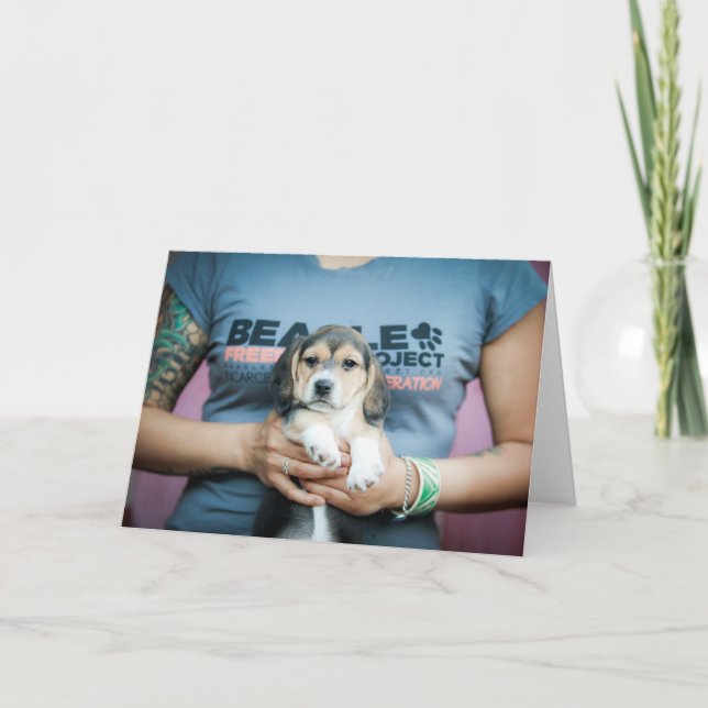 Beagle Freedom Pup on T-Shirt Card (Front)