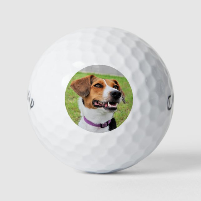 Beagle Golf Balls (Front)