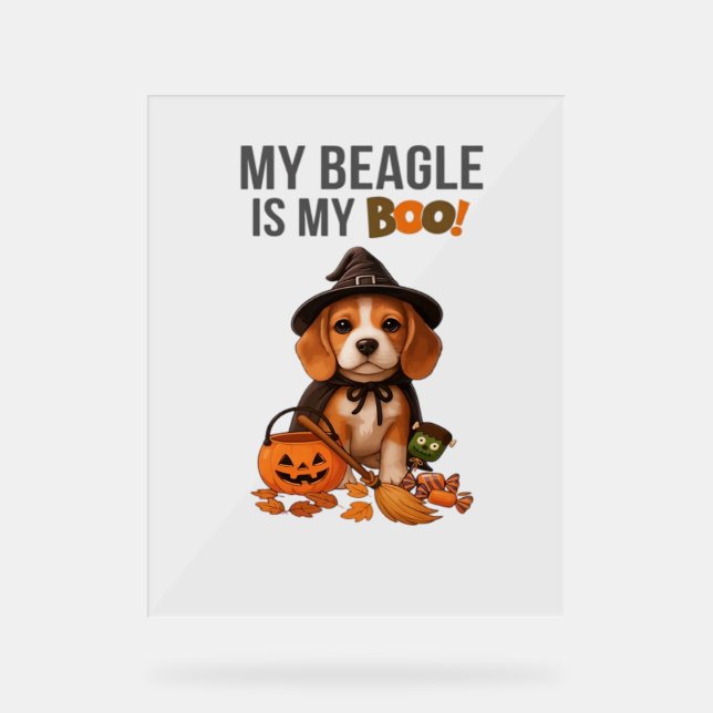 Beagle Halloween Costume  My Beagle is My Boo Dog  Acrylic Sign (Front)