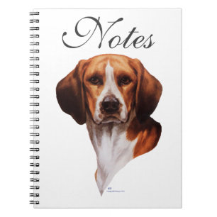 Beagle Head Study Notebook