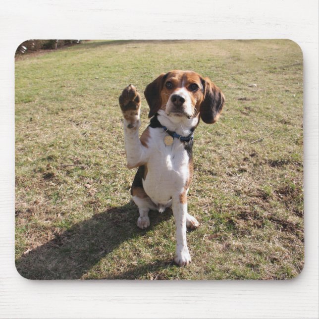 Beagle High Five Mouse Pad (Front)