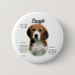 Beagle History; All About Beagles 6 Cm Round Badge